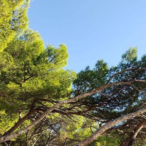 Meet your Posher, Annette